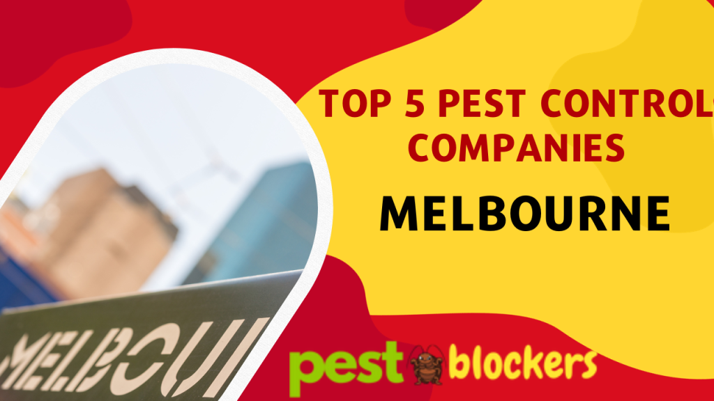 Top 5 Pest Control Companies in Melbourne, VIC